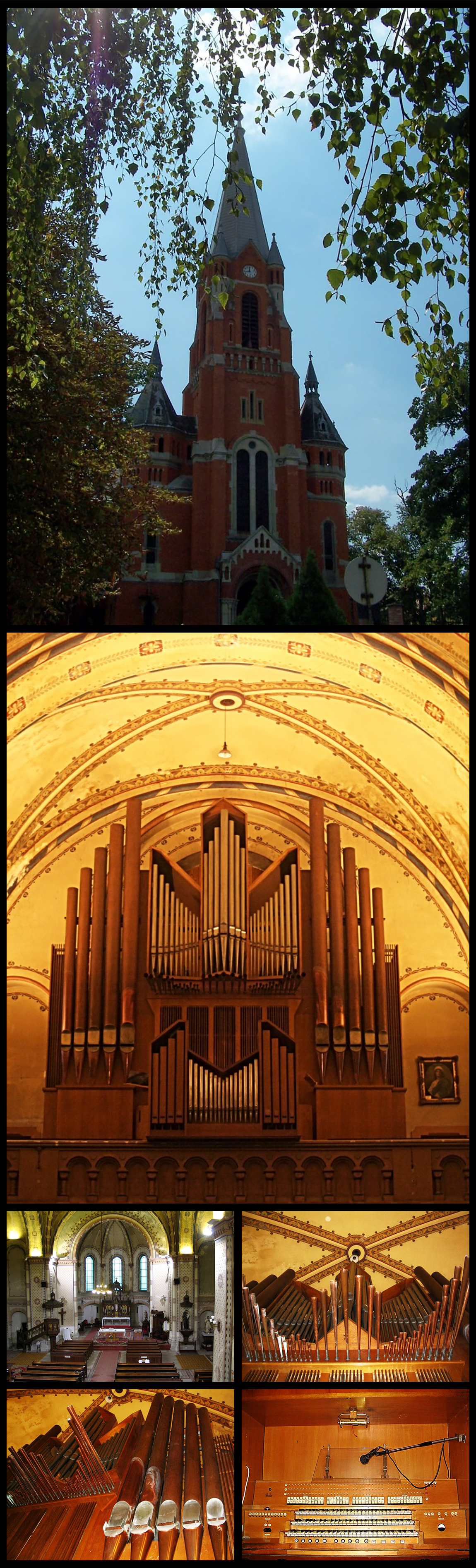 Catholic church of Iron factory and the Walcker Organ