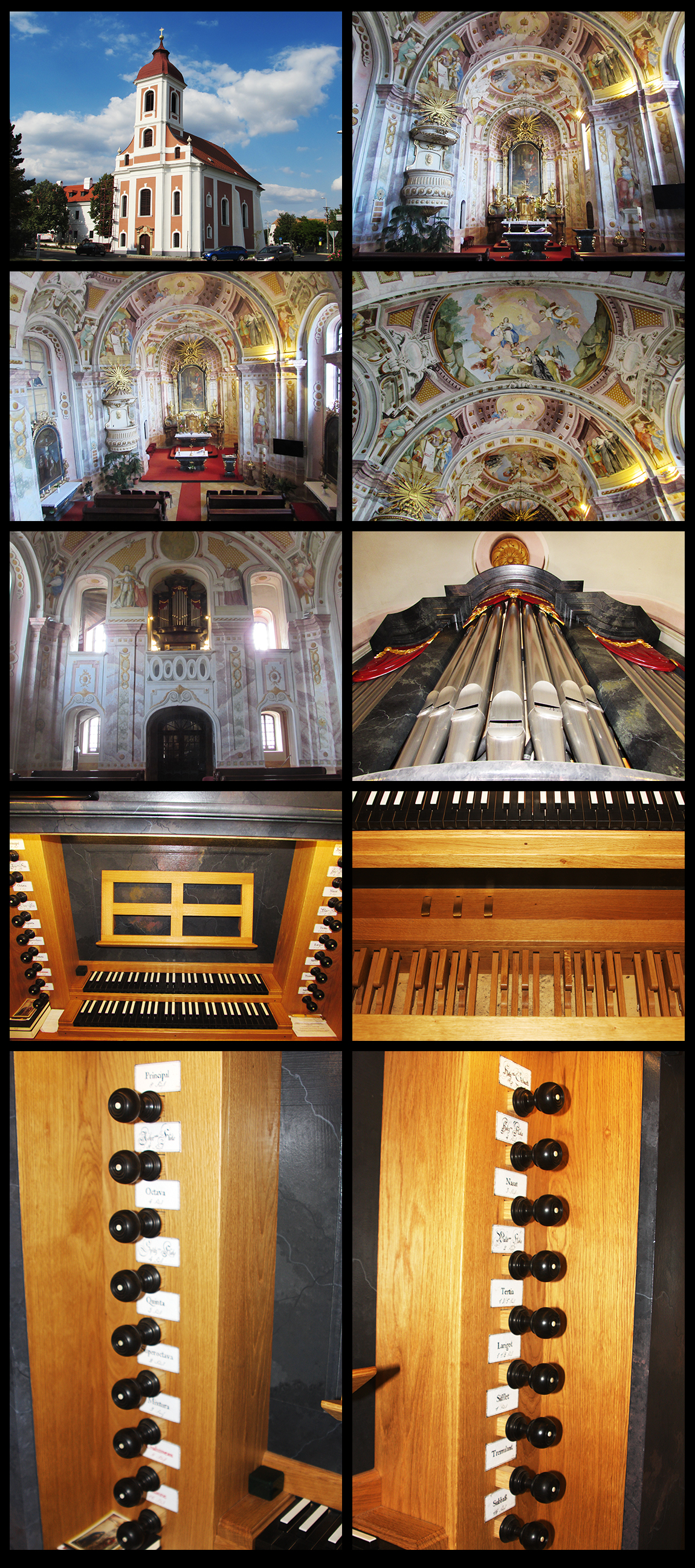 Church from Vorosbereny and the Organ