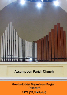 Gonda-Erdosi Organ from Polgar (Hungary)