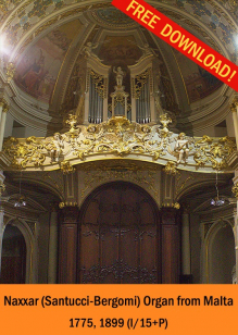 Nayyar Organ from Malta